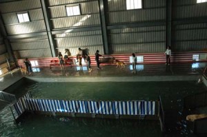 1380944969-3067929670