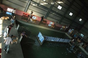 1380944969-427450763