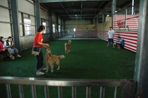 1380944970-2955032360