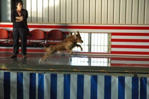 1380944970-3775782291