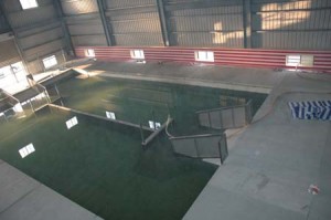 1380944972-2035108706