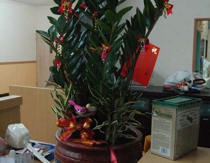 1380944973-3389050375