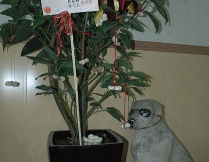 1380944975-1709766137