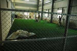 1380944981-3847356488