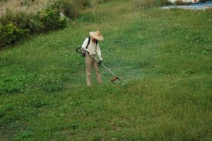 1380944995-2278819161