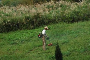 1380944998-2956022442