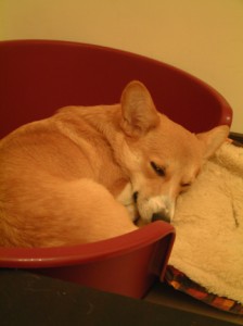 1380945018-3428827729