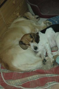 1380945018-873031678