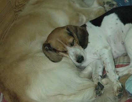 1380945018-873031678