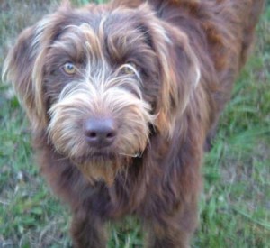 1380945031-165017564