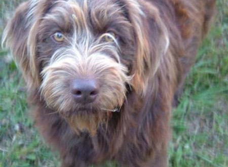 1380945031-165017564