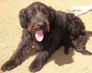 1380945031-694160378