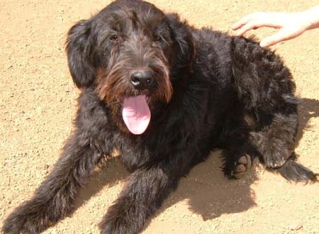 1380945031-694160378