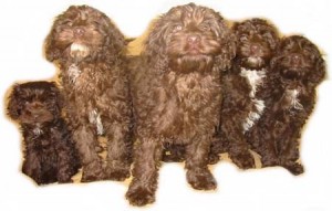 1380945032-3782632400