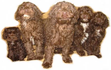 1380945032-3782632400