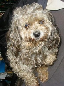 1380945033-1826125811