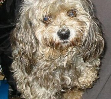 1380945033-1826125811