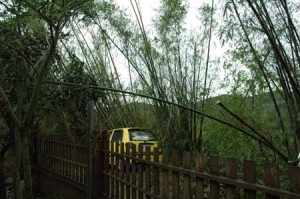 1380945034-2996707879