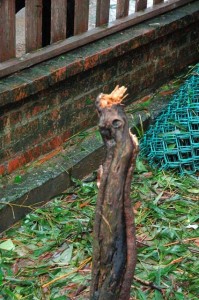 1380945035-2404997146