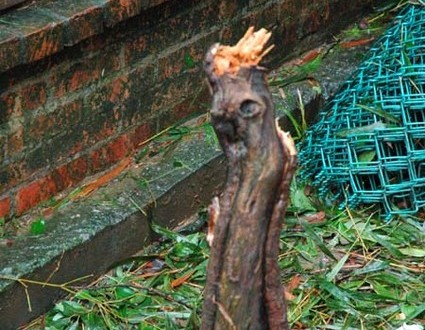 1380945035-2404997146