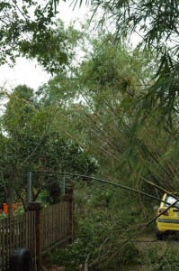 1380945035-679374772