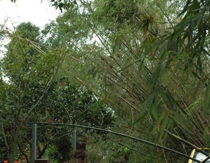 1380945035-679374772