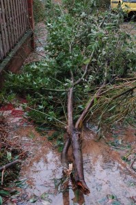 1380945036-1113854876