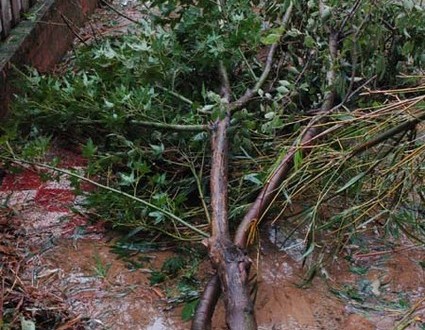 1380945036-1113854876