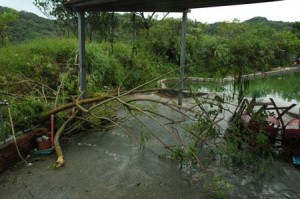 1380945038-3065268945