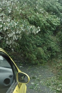 1380945039-1570006302