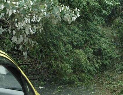 1380945039-1570006302