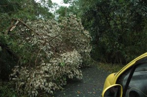 1380945039-2563921580