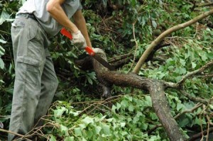 1380945040-1808602796