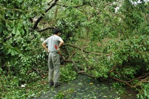 1380945040-3788581269