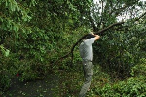 1380945041-2095163225