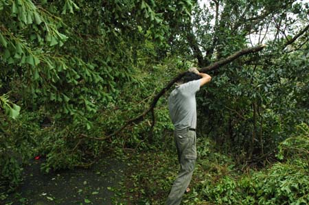 1380945041-2095163225