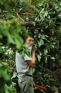 1380945041-2521696808