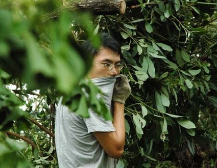 1380945041-2521696808