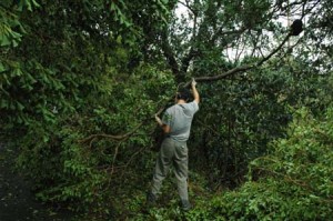 1380945042-1907109387