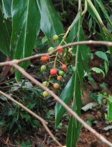 1380945042-2052559345