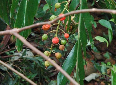 1380945042-2052559345