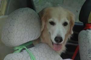 1380945042-338426884