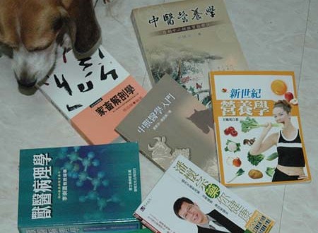 1380945060-1804789027