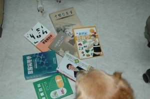 1380945060-2596869317