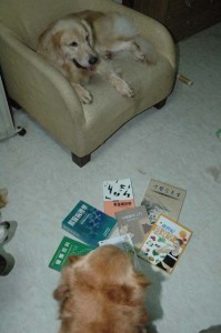 1380945061-1080307521