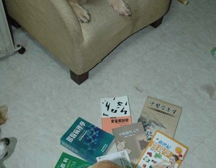 1380945061-1080307521