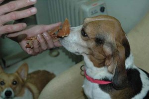 1380945090-1713984381