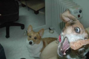 1380945090-3391090028