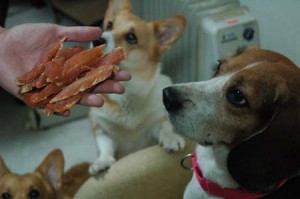 1380945091-3665644344