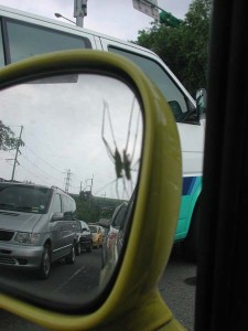 1380945092-2241190238